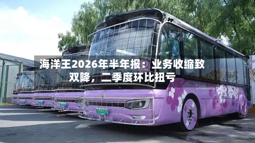 海洋王2026年半年报：业务收缩致双降，二季度环比扭亏