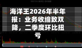 海洋王2026年半年报：业务收缩致双降，二季度环比扭亏-第2张图片