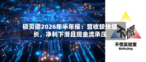 硕贝德2026年半年报：营收较快增长，净利下滑且现金流承压