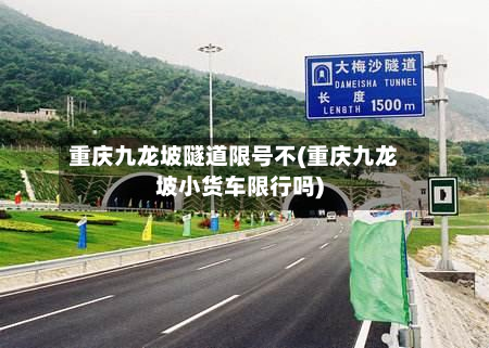 重庆九龙坡隧道限号不(重庆九龙坡小货车限行吗)-第2张图片
