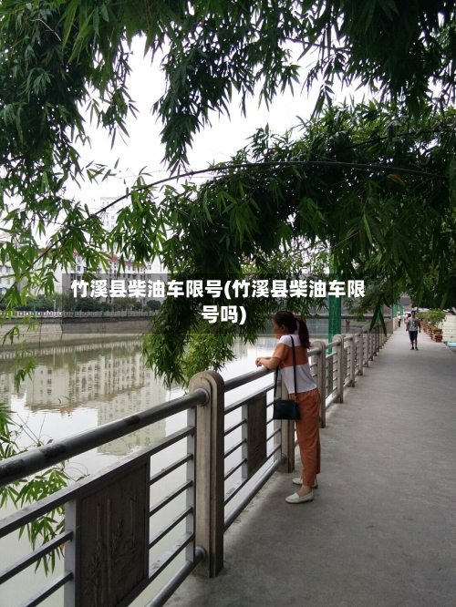 竹溪县柴油车限号(竹溪县柴油车限号吗)