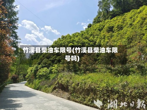 竹溪县柴油车限号(竹溪县柴油车限号吗)-第2张图片