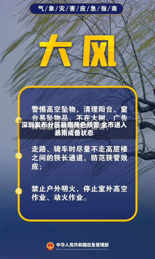 深圳发布分区暴雨黄色预警 全市进入暴雨戒备状态-第2张图片