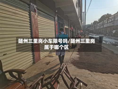 随州三里岗小车限号吗/随州三里岗属于哪个区