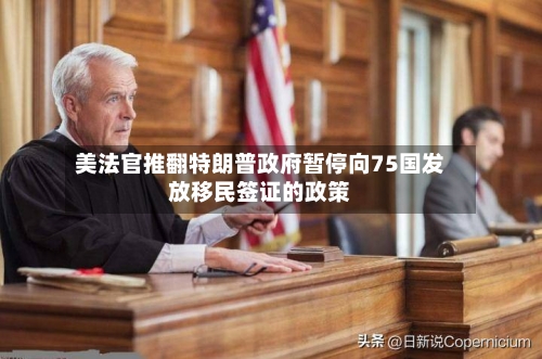 美法官推翻特朗普政府暂停向75国发放移民签证的政策-第1张图片
