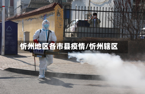 忻州地区各市县疫情/忻州辖区