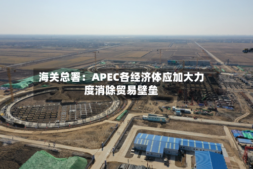 海关总署：APEC各经济体应加大力度消除贸易壁垒-第2张图片