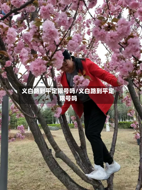 义白路到平定限号吗/义白路到平定限号吗