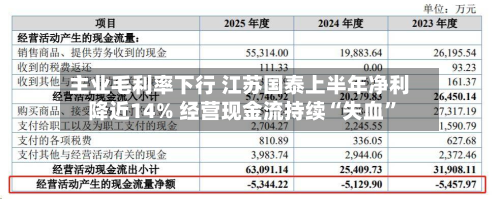 主业毛利率下行 江苏国泰上半年净利降近14% 经营现金流持续“失血”