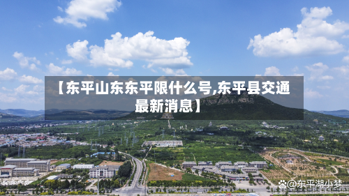 【东平山东东平限什么号,东平县交通最新消息】