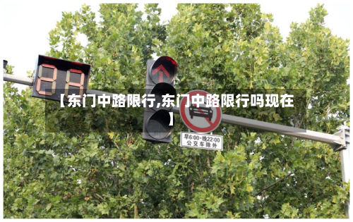 【东门中路限行,东门中路限行吗现在】-第3张图片