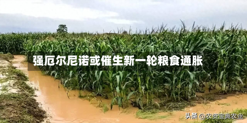 强厄尔尼诺或催生新一轮粮食通胀-第3张图片