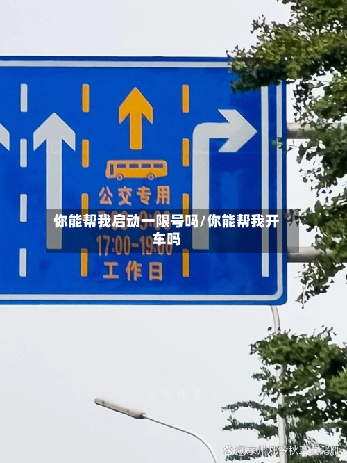 你能帮我启动一限号吗/你能帮我开车吗