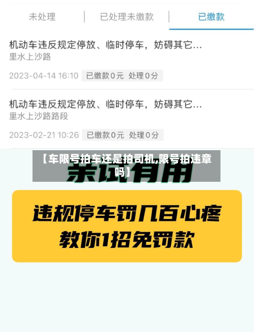 【车限号拍车还是拍司机,限号拍违章吗】-第2张图片