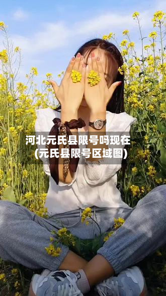 河北元氏县限号吗现在(元氏县限号区域图)