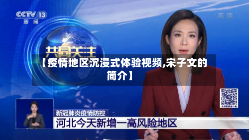 【疫情地区沉浸式体验视频,宋子文的简介】-第2张图片