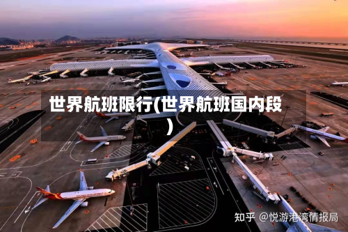 世界航班限行(世界航班国内段)