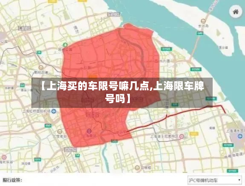 【上海买的车限号嘛几点,上海限车牌号吗】-第2张图片