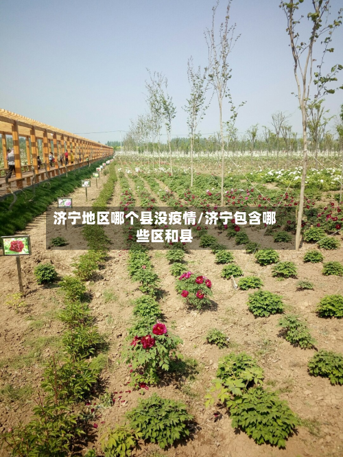 济宁地区哪个县没疫情/济宁包含哪些区和县-第2张图片