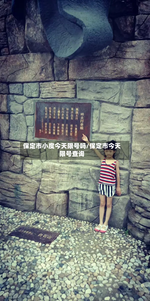 保定市小度今天限号吗/保定市今天限号查询