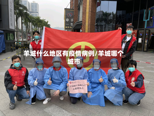 羊城什么地区有疫情病例/羊城哪个城市