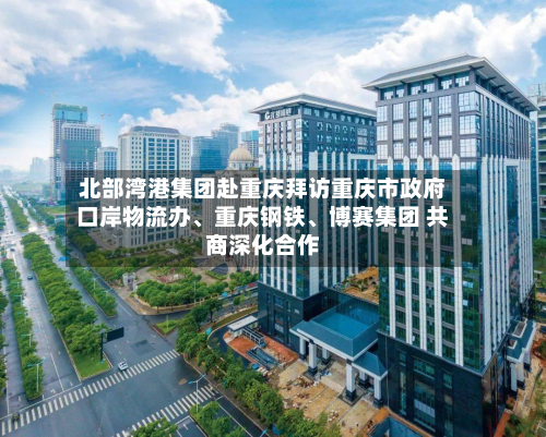 北部湾港集团赴重庆拜访重庆市政府口岸物流办、重庆钢铁、博赛集团 共商深化合作