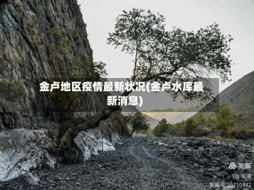 金卢地区疫情最新状况(金卢水库最新消息)-第2张图片