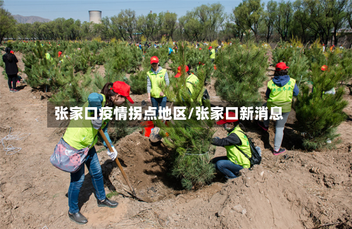 张家口疫情拐点地区/张家口新消息-第2张图片