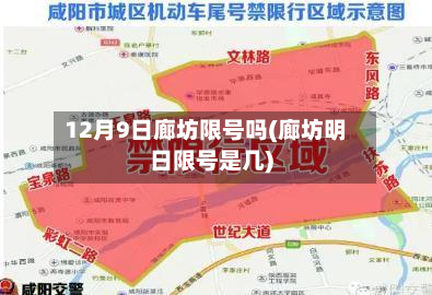 12月9日廊坊限号吗(廊坊明日限号是几)