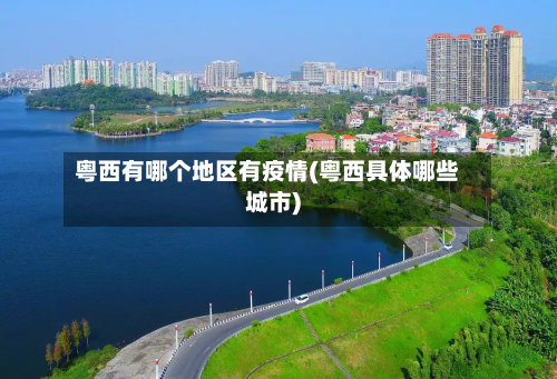 粤西有哪个地区有疫情(粤西具体哪些城市)