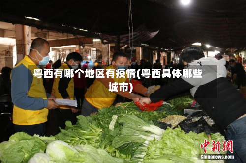 粤西有哪个地区有疫情(粤西具体哪些城市)-第2张图片
