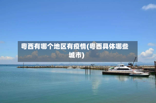 粤西有哪个地区有疫情(粤西具体哪些城市)-第3张图片