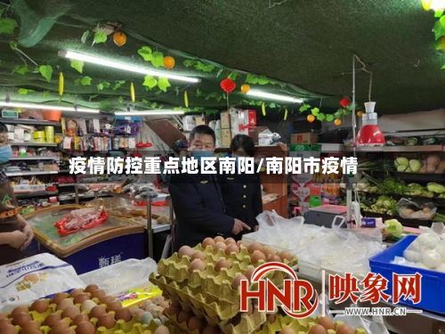 疫情防控重点地区南阳/南阳市疫情
