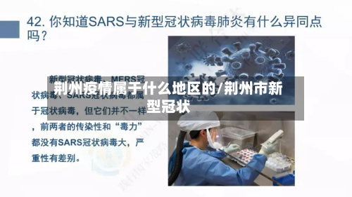 荆州疫情属于什么地区的/荆州市新型冠状-第3张图片