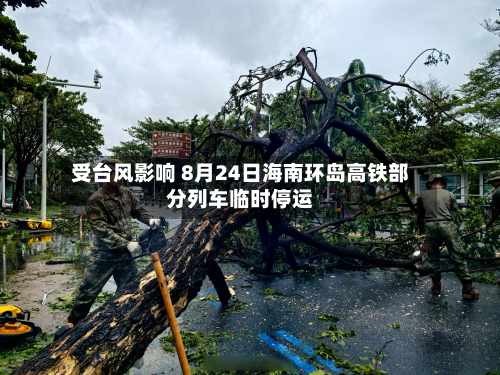 受台风影响 8月24日海南环岛高铁部分列车临时停运