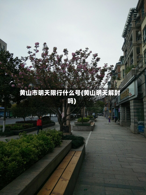 黄山市明天限行什么号(黄山明天解封吗)-第3张图片