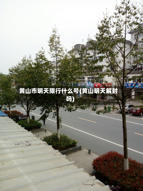 黄山市明天限行什么号(黄山明天解封吗)-第2张图片