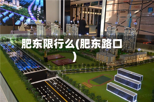 肥东限行么(肥东路口)