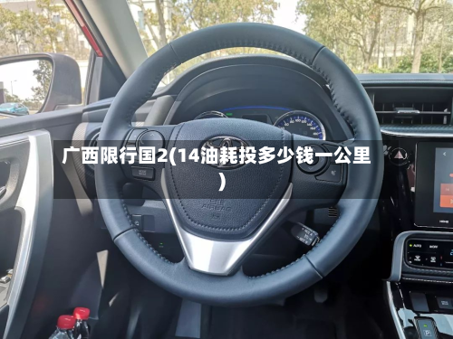 广西限行国2(14油耗投多少钱一公里)