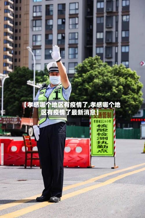 【孝感哪个地区有疫情了,孝感哪个地区有疫情了最新消息】