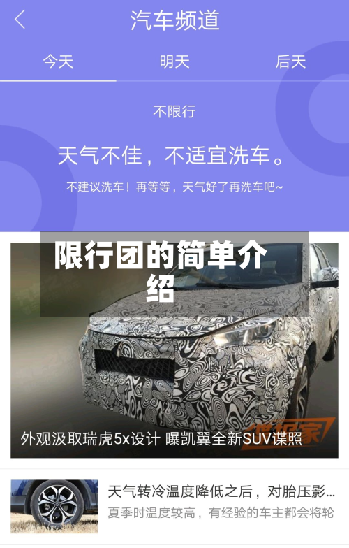 限行团的简单介绍-第2张图片