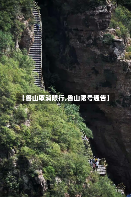 【鲁山取消限行,鲁山限号通告】-第2张图片