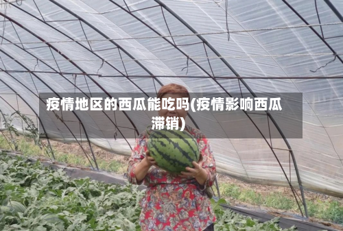 疫情地区的西瓜能吃吗(疫情影响西瓜滞销)-第2张图片