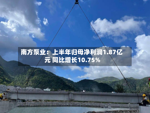 南方泵业:上半年归母净利润1.87亿元 同比增长10.75%-第2张图片