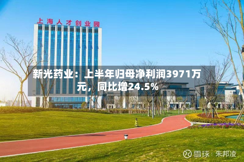新光药业：上半年归母净利润3971万元，同比增24.5%
