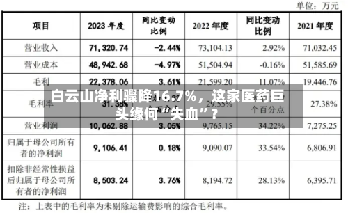 白云山净利骤降16.7%	，这家医药巨头缘何“失血”？-第2张图片