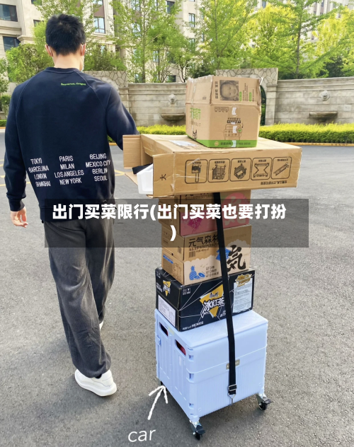 出门买菜限行(出门买菜也要打扮)