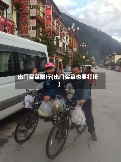 出门买菜限行(出门买菜也要打扮)-第2张图片