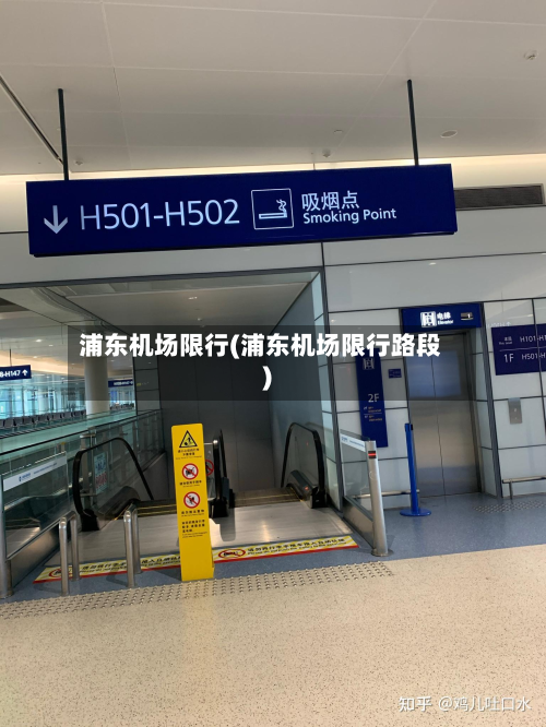 浦东机场限行(浦东机场限行路段)