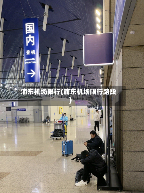浦东机场限行(浦东机场限行路段)-第2张图片